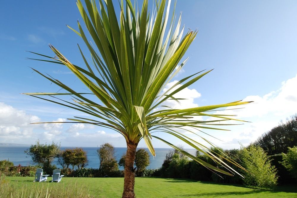 Trevalsa Court Hotel Mevagissey Exterior foto